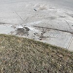 Debris on Street, Sidewalk, Boulevard at 3902 15 Av SW