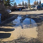 Backlane Maintenance at 19 Rosevale Dr NW