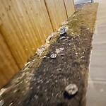 Debris on Street, Sidewalk, Boulevard at 3875 Cornerstone Bv NE