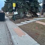 Debris on Street, Sidewalk, Boulevard at 1425 44 St SW