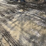 Backlane Maintenance at 2415 52 Av SW