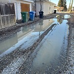 Backlane Maintenance at 3208 25 A St SW