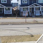 Debris on Street, Sidewalk, Boulevard at 250 Redstone Dr NE