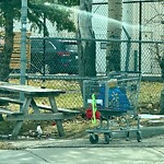 Debris on Street, Sidewalk, Boulevard at 5544 1 A St SW