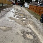 Backlane Maintenance at 11047 Southdale Rd SW