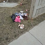 Debris on Street, Sidewalk, Boulevard at 83 Evansview Gd NW