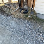 Debris on Backlane at 1160 Falworth Rd NE