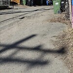 Backlane Maintenance at 839 4 Av NW