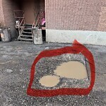 Backlane Maintenance at 1212 16 Ave NW Northwest Calgary