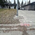 Streetlight Damage at 120 Oakwood Pl SW Oakridge