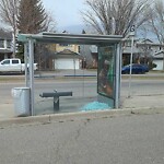 Bus Stop - Shelter Concern at 208 Chaparral Dr SE