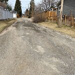 Backlane Maintenance at 5836 Lodge Cr SW