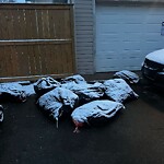 Debris on Backlane at 82 Martinridge Gv NE