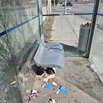 Bus Stop - Shelter Concern at 503 64 Av NW