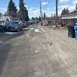 Backlane Maintenance at 4603 Maryvale Dr NE