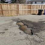Backlane Maintenance at 136 Falton Dr NE