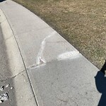 Sidewalk or Curb - Repair at 2000 Somervale Co SW