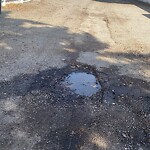 Backlane Maintenance at 12156 Lake Waterton Cr SE