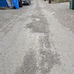 Backlane Maintenance at 1136 Colgrove Ave NE Northeast Calgary