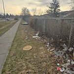 Debris on Street, Sidewalk, Boulevard at 35 Fonda Dr SE