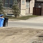 Backlane Maintenance at 22 Legacy Glen Wy SE