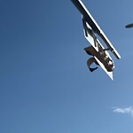 Streetlight Damage at 9900 Maplecreek Dr SE