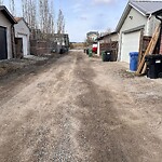 Backlane Maintenance at 32 Auburn Bay Gr SE