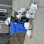 Debris on Street, Sidewalk, Boulevard at 155 Carringham Wy NW Calgary