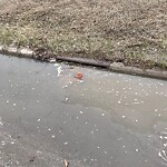 Catch Basin / Storm Drain Concerns at 12498 40 St SE