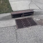 Catch Basin / Storm Drain Concerns at 501 Millview Ba SW