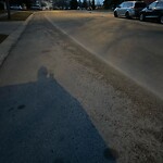 Debris on Street, Sidewalk, Boulevard at 127 Woodglen Rd SW