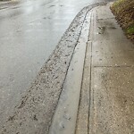Spring Street Cleaning at 2439 Chicoutimi Dr NW