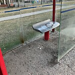 Bus Stop - Shelter Concern at 7732 Bowness Rd NW