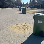 Debris on Street, Sidewalk, Boulevard at 246 200 Cedardale Pl SW
