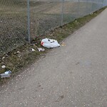 Debris on Street, Sidewalk, Boulevard at 52 Westbrook Pz SW