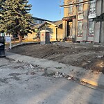 Debris on Street, Sidewalk, Boulevard at 1425 44 St SW
