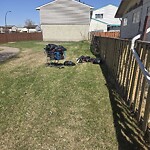 Debris on Street, Sidewalk, Boulevard at 4322 7 Av SE