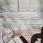 Fence or Structure Concern - City Property at 247 Radcliffe Pl SE Radisson Heights