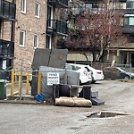 Debris on Backlane at 1721 11 St SW