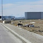 Debris on Street, Sidewalk, Boulevard at 12307 Stonehill Dr NE