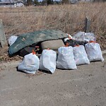 Debris on Street, Sidewalk, Boulevard at 3146 68 St NW
