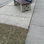 Debris on Street, Sidewalk, Boulevard at 10203 Tuscany Hills Wy NW