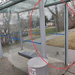 Bus Stop - Shelter Concern at Ca Dalhousie Calgary
