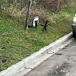 Debris on Street, Sidewalk, Boulevard at 216 Mt Apex Gr SE