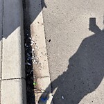 Debris on Street, Sidewalk, Boulevard at 310 Creekstone Wy SW