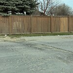 On-Street Bike Lane - Repair at 7 Westland Pa SW
